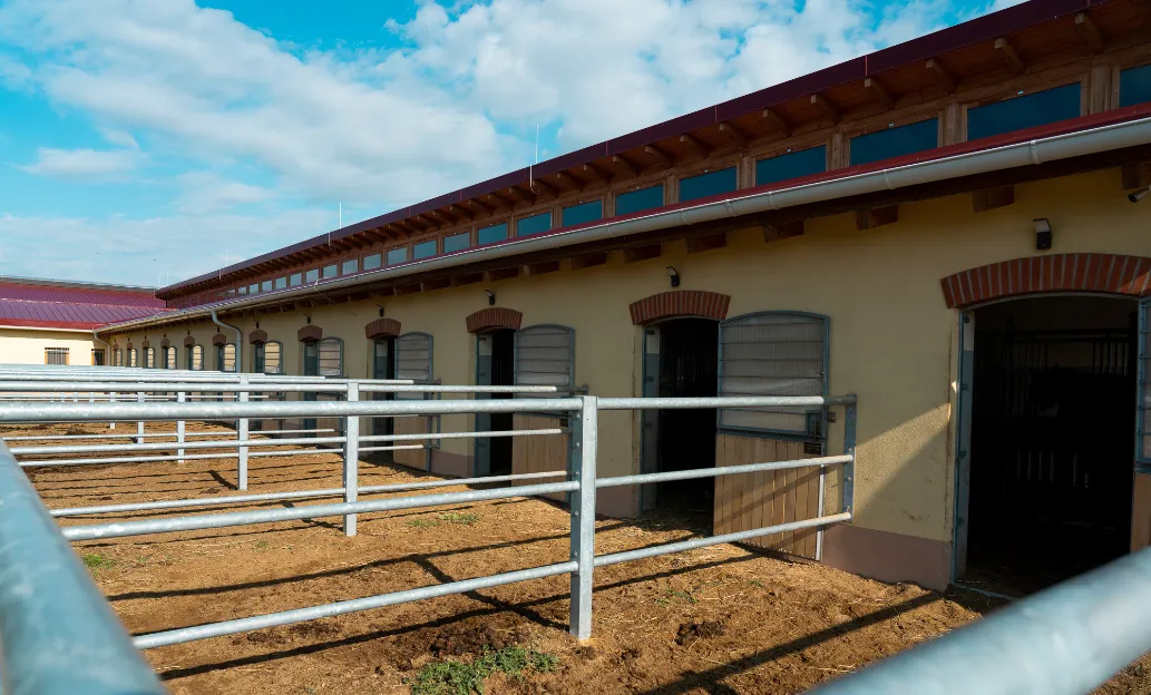 Szajkó Lovarda Bokszok