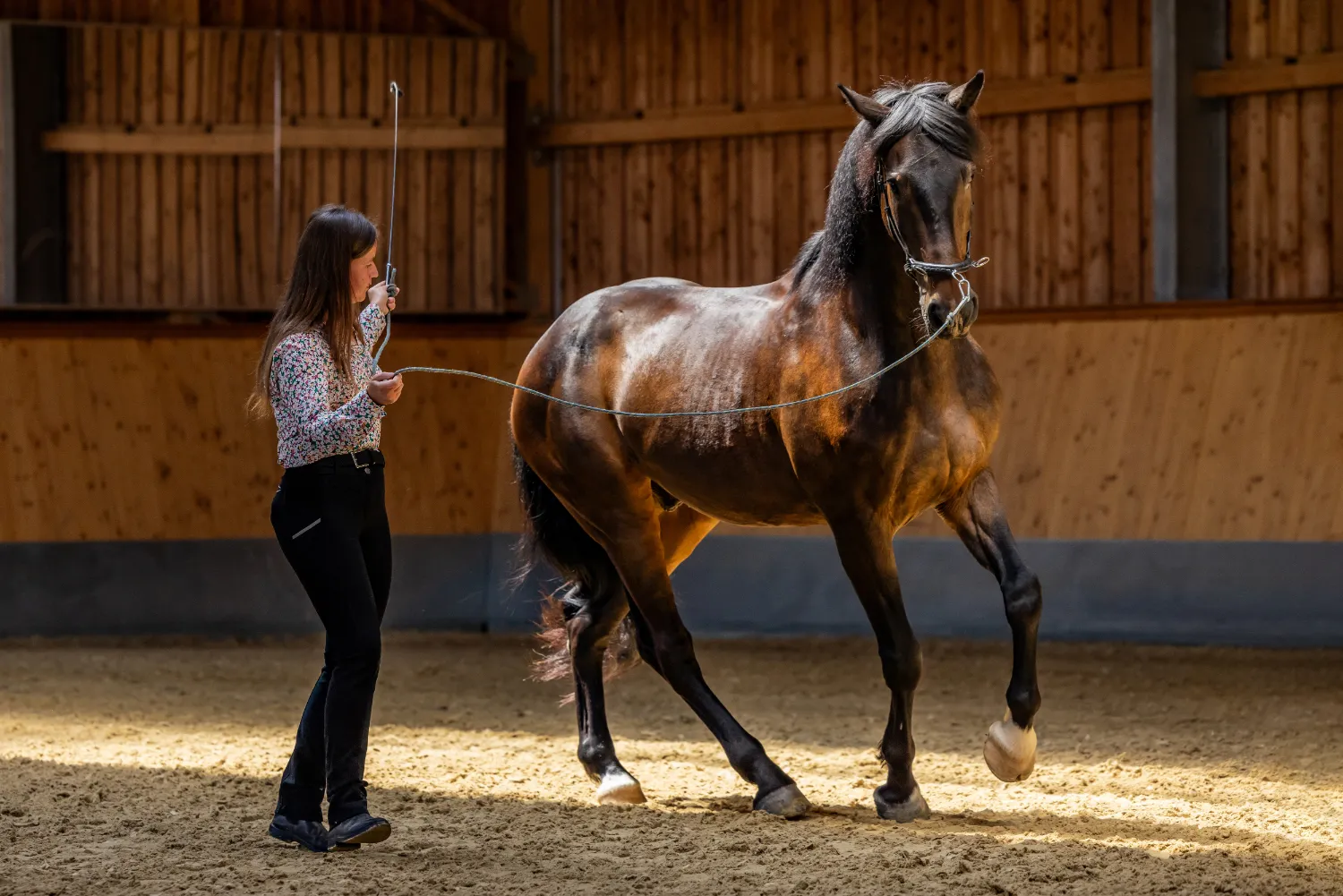 szajko-lovarda-foldimunka2