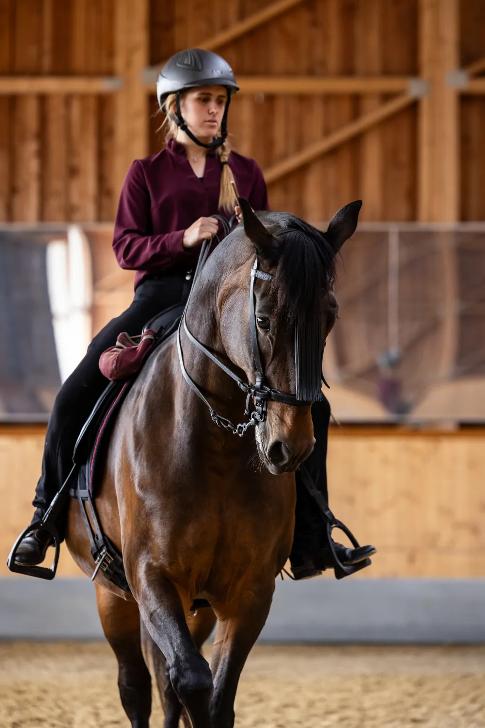 Szajkó Lovarda Táborok