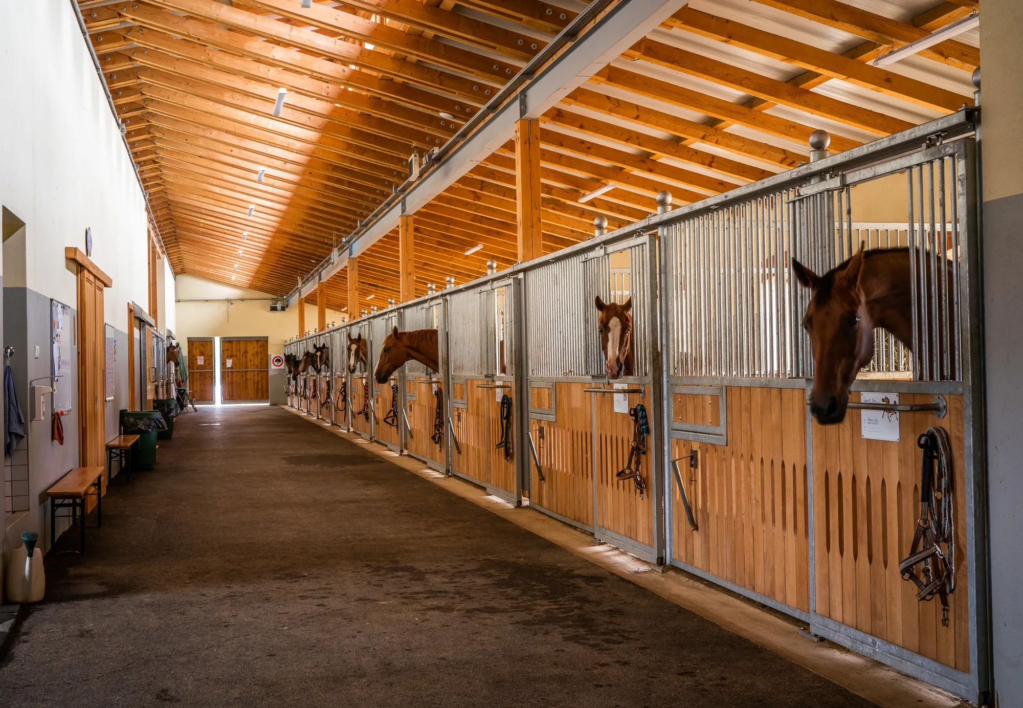 szajko-lovarda-istallo1