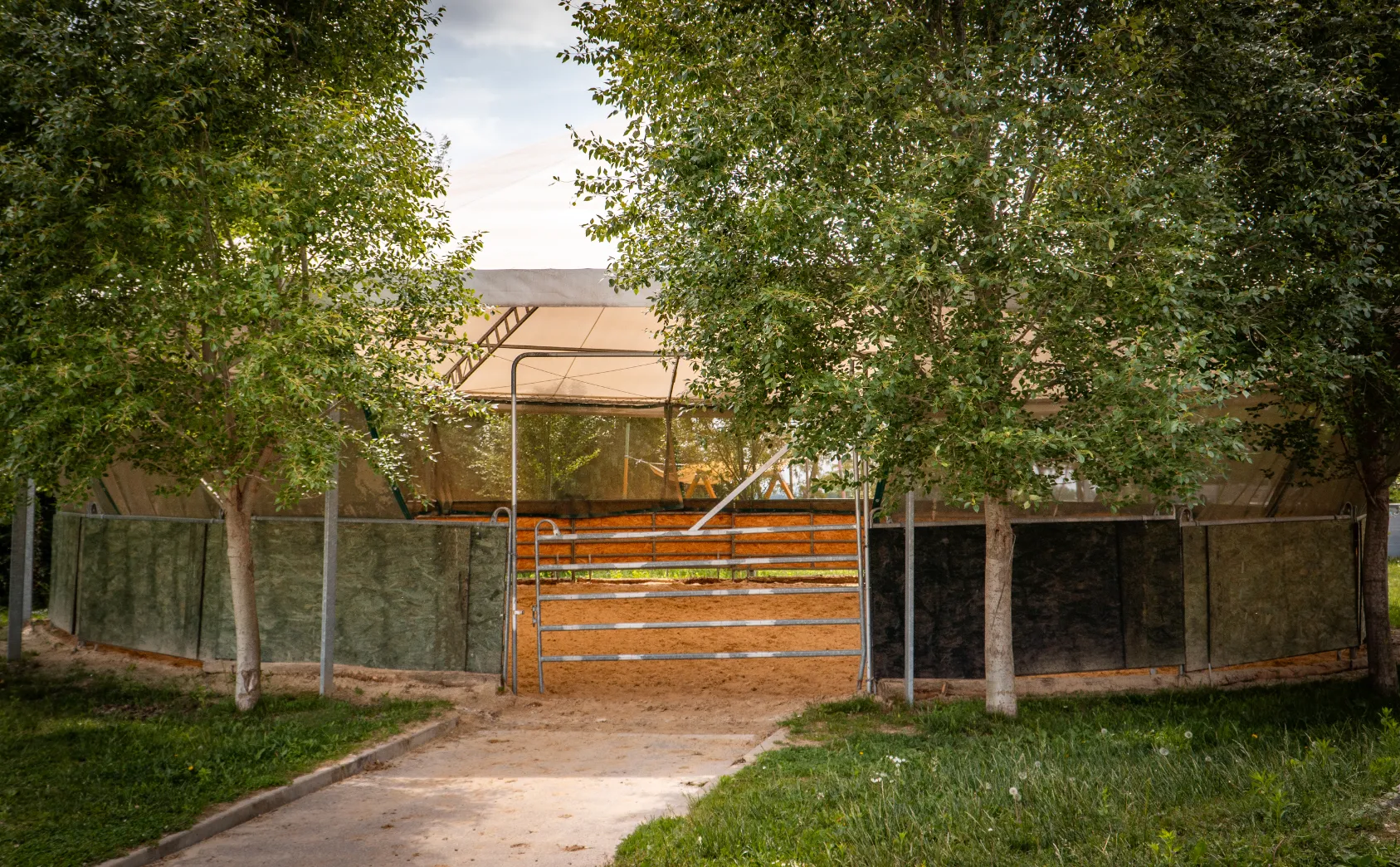 Szajkó Lovarda Körkarám