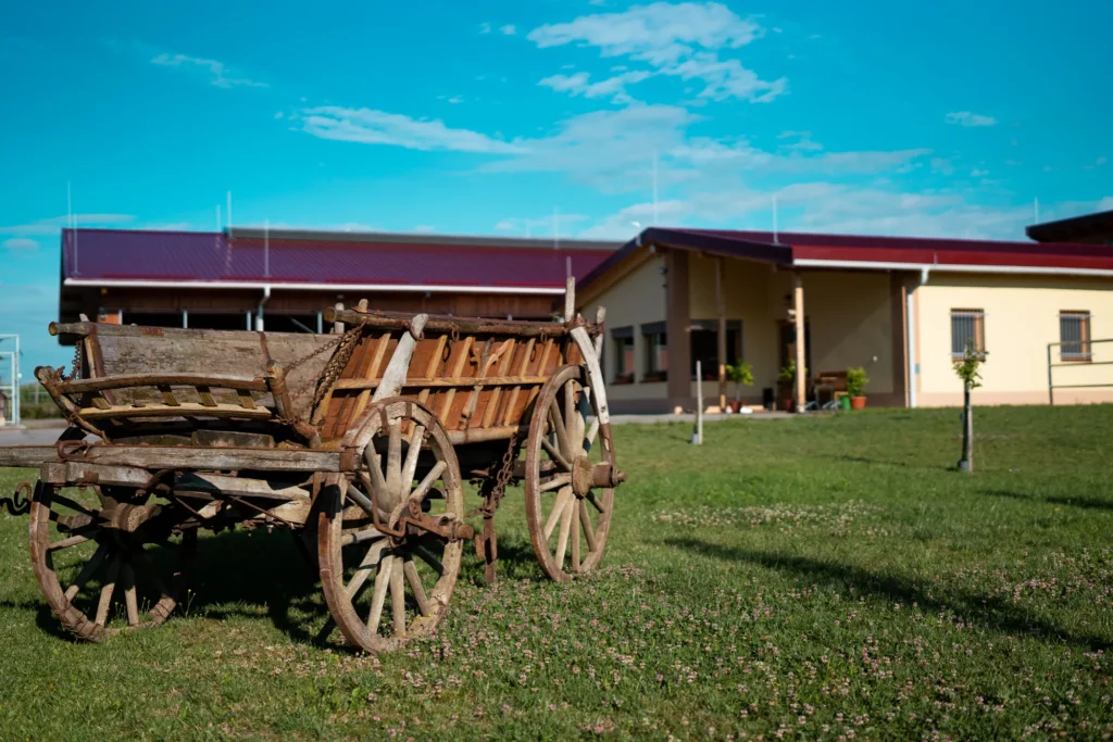 Szajkó Lovarda Rólunk