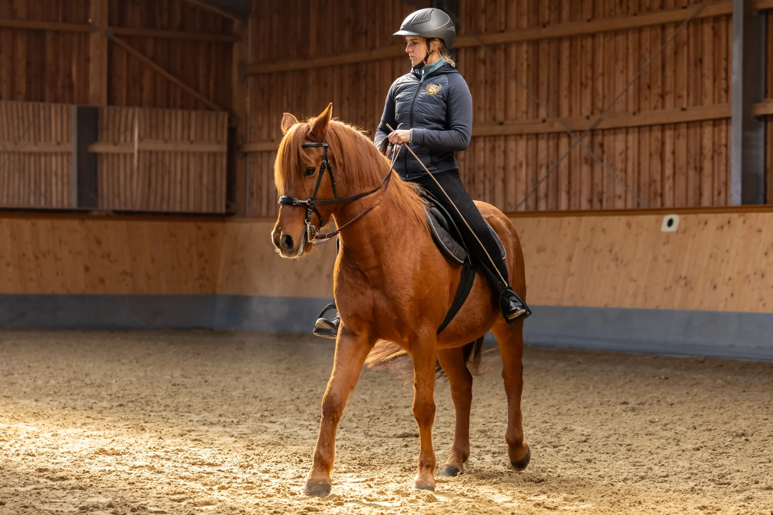 Szajkó Lovarda oktatás haladó osztálylovaglás
