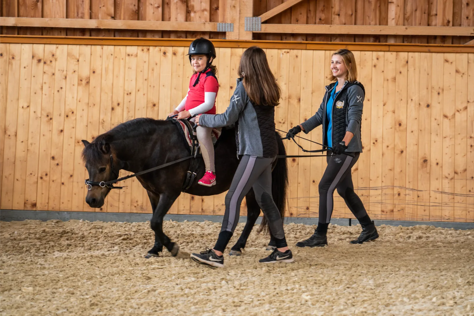 Szajkó Lovarda hippoterápia