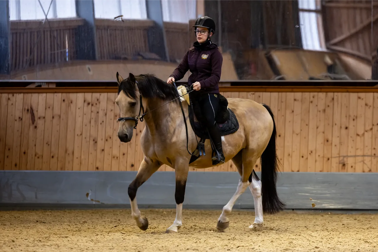 Szajkó Lovarda oktatás kezdőlovaglás