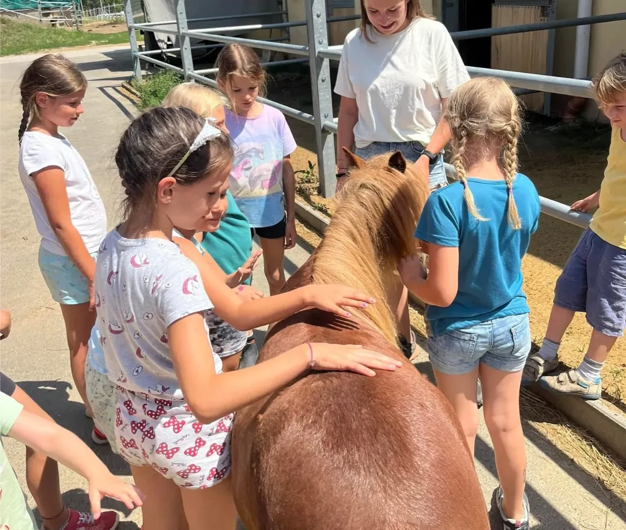 Szajkó Lovarda Táborok